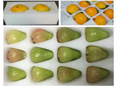 ��ʲô�Ϸ������ޱ��V�����ڼ����(n��i)������